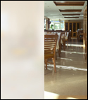 White Frost Window Film